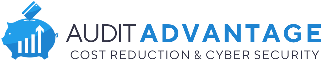 get audit advantage logo